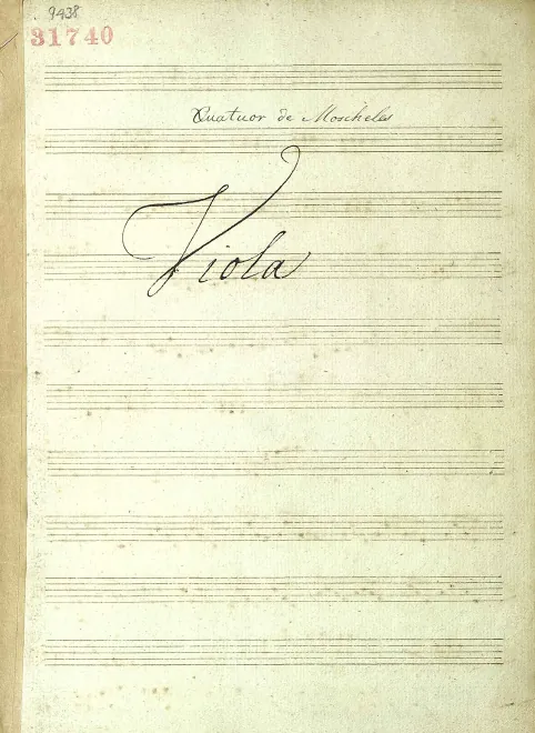 Viola