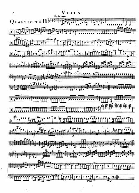 Viola