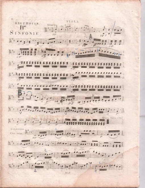 Violas