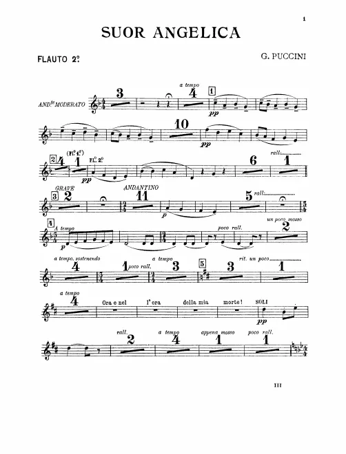 Flute 2