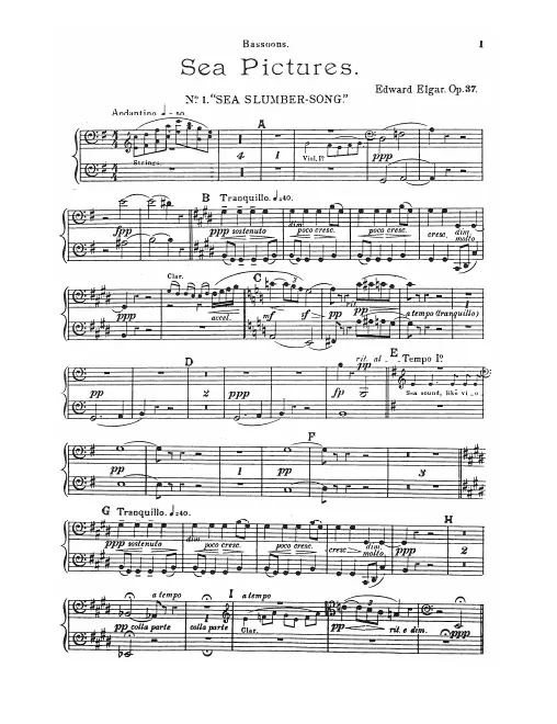 Bassoon 1/2