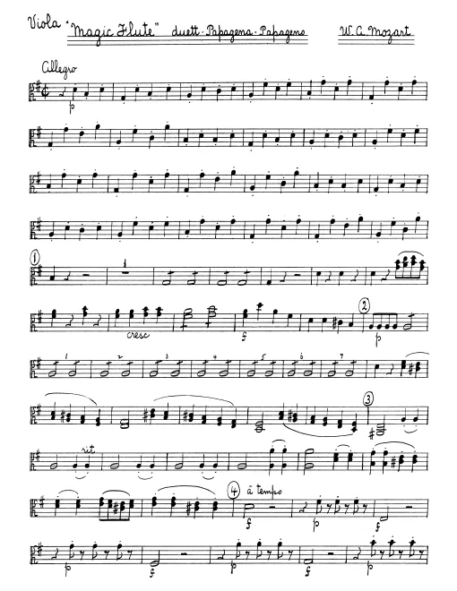 Viola, Cello/Bass