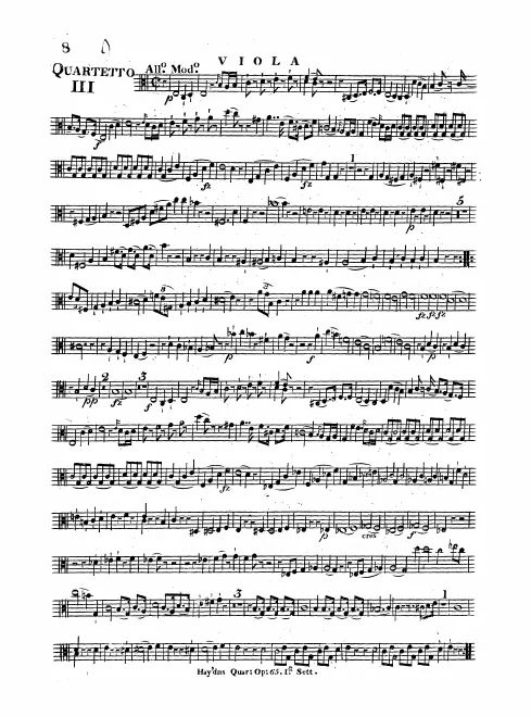Viola
