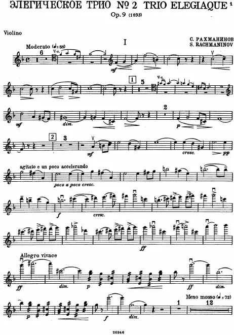 Violin