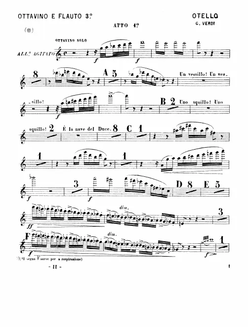 Flute 3/Piccolo