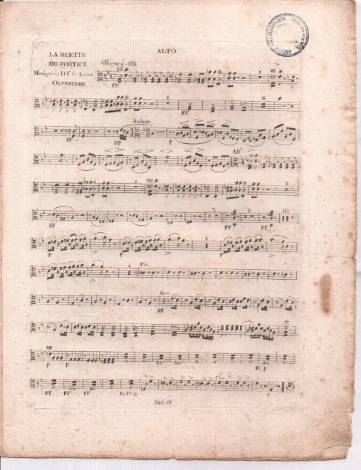 Violas