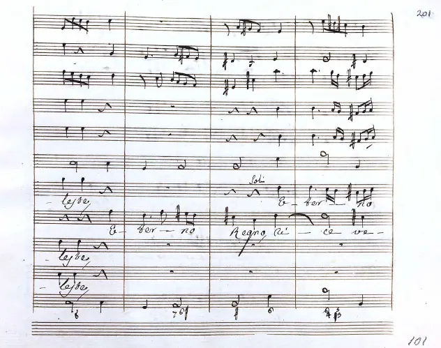 Segment 3