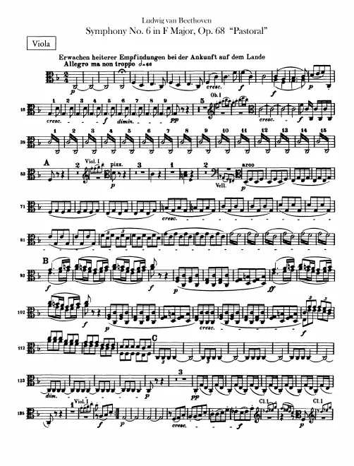 Violas