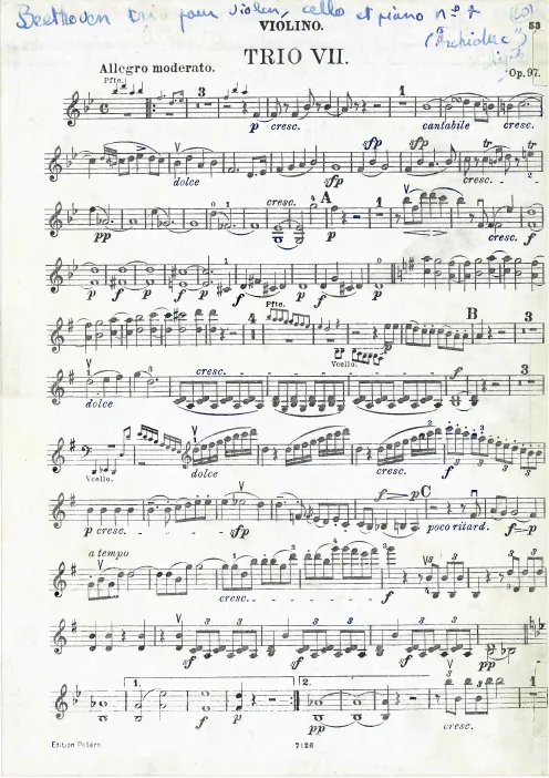 Violin