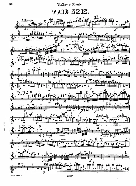 Violin