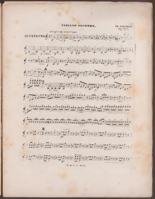 Violin 2