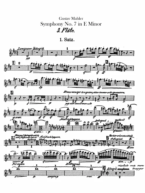 Flute 3