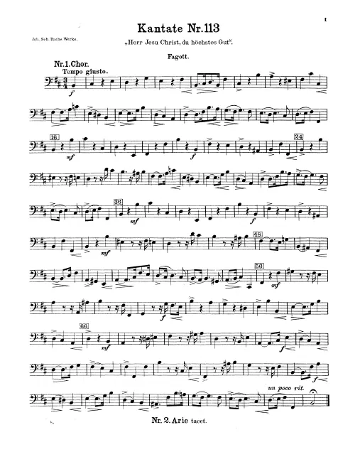 Bassoon
