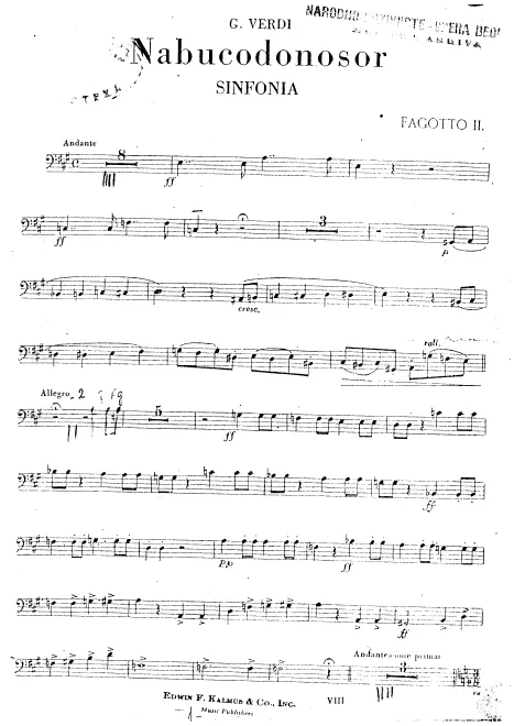 Bassoon 2