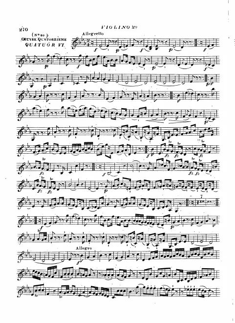 Violin 2
