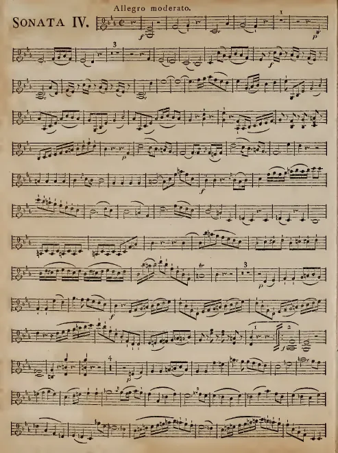 Violin