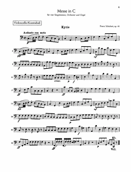 Cellos/Basses