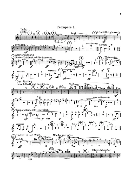 Trumpet 1 (B/E/C, Onstage)