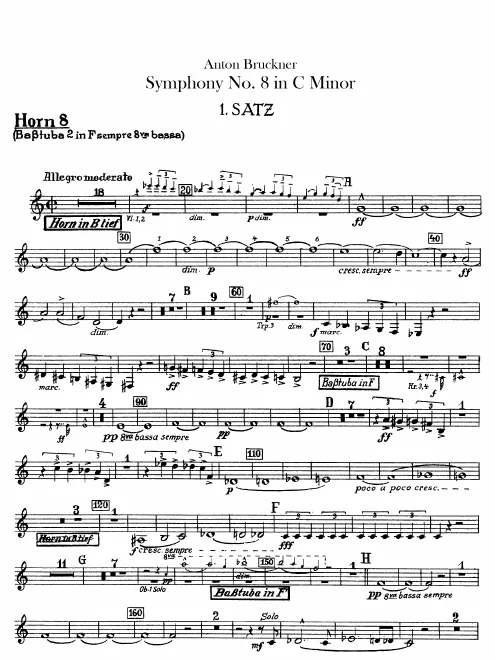 Horn 8 (B/F)/Bass Wagner Tuba 2 (F)