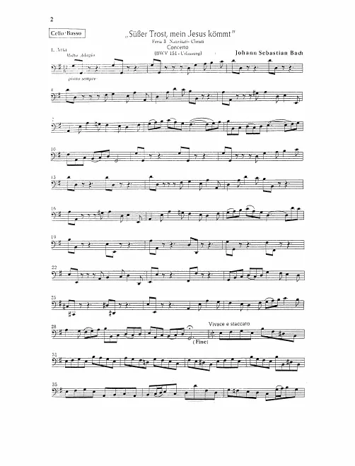 Cellos/Basses