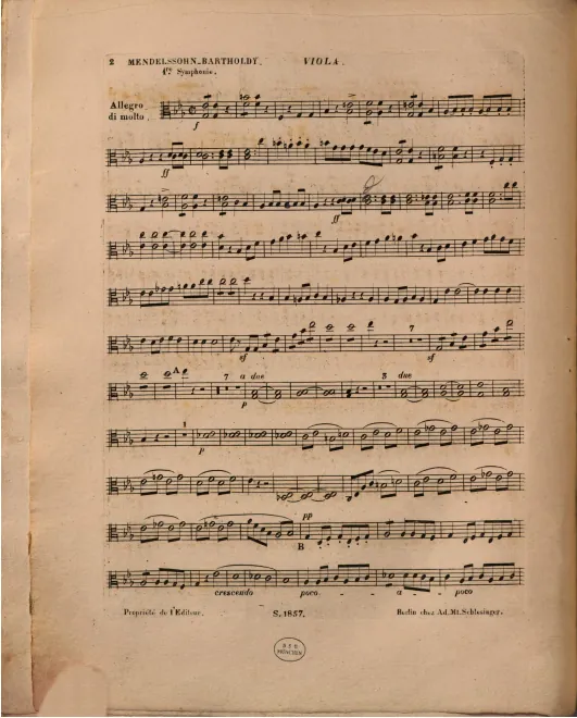 Viola