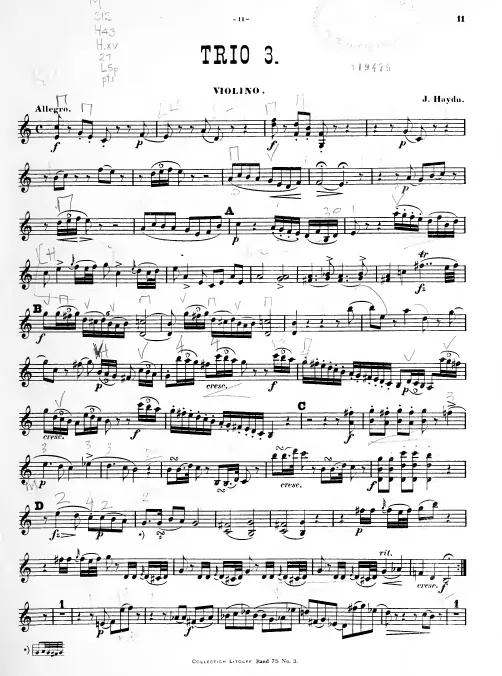 Violin