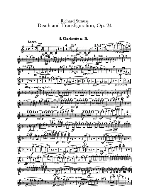 Clarinet 1 (B)