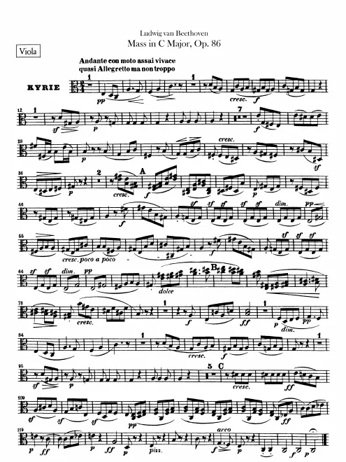 Violas