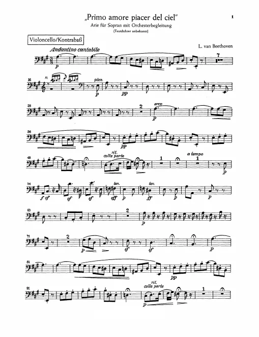 Cellos/Basses