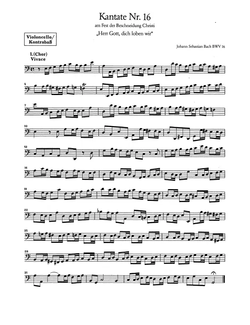 Cellos/Basses