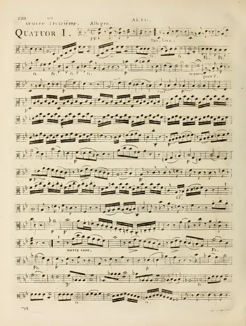 Viola