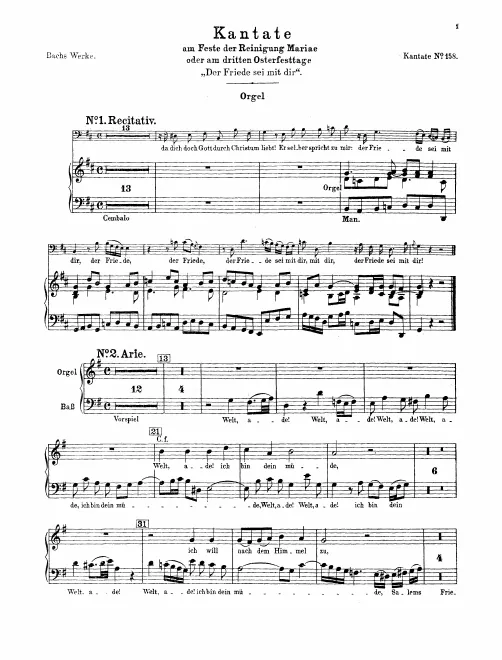 Organ