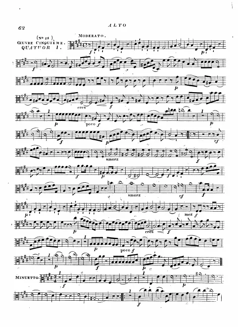 Viola