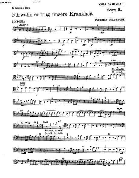 Viola de Gamba 2