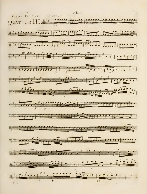 Viola