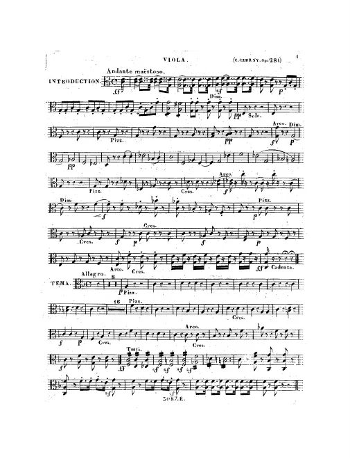 Violas