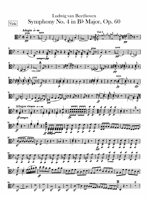 Violas