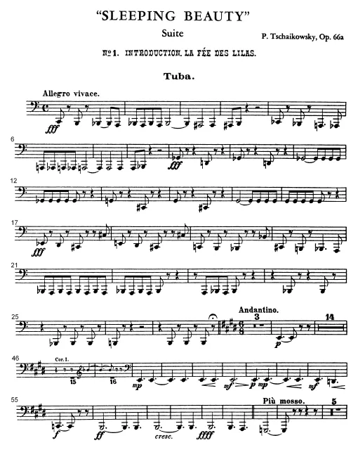 Tuba