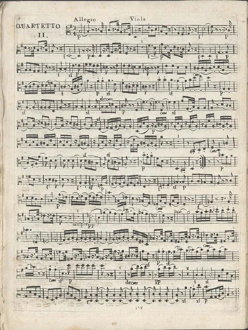 Viola