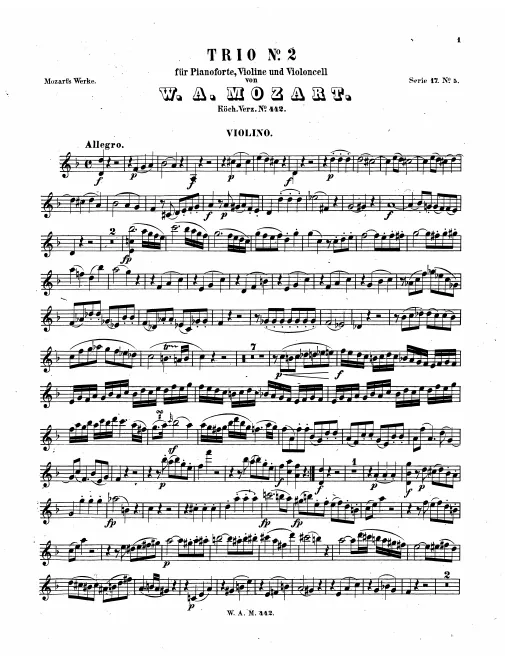 Violin