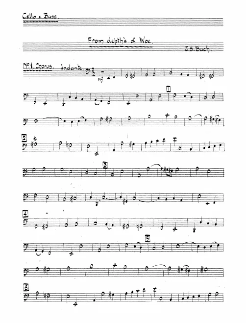 Cellos/Basses