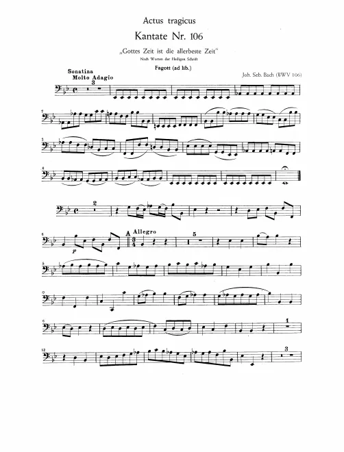 Bassoon (ad lib.)