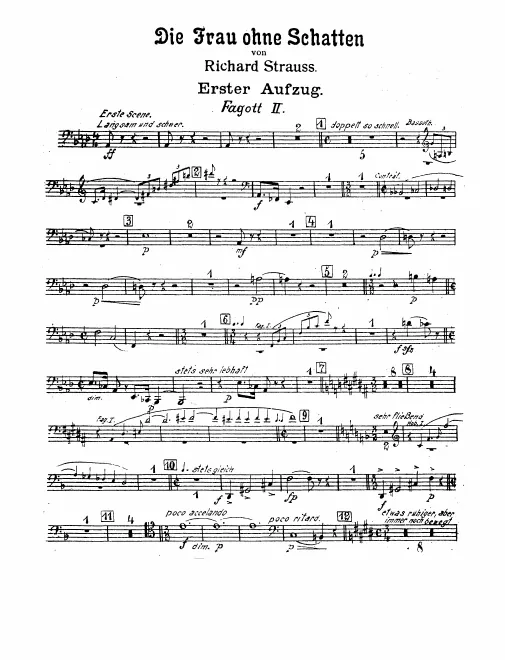 Bassoon 2