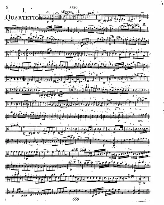 Viola
