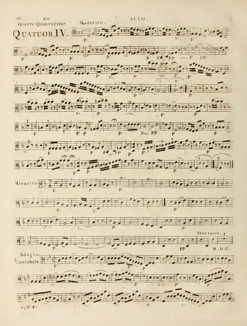 Viola