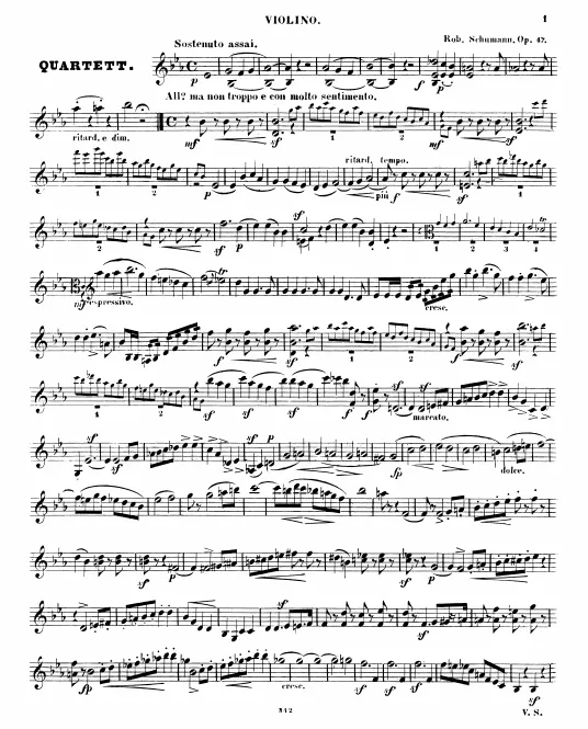 Violin