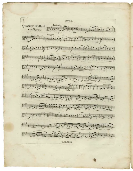 Viola