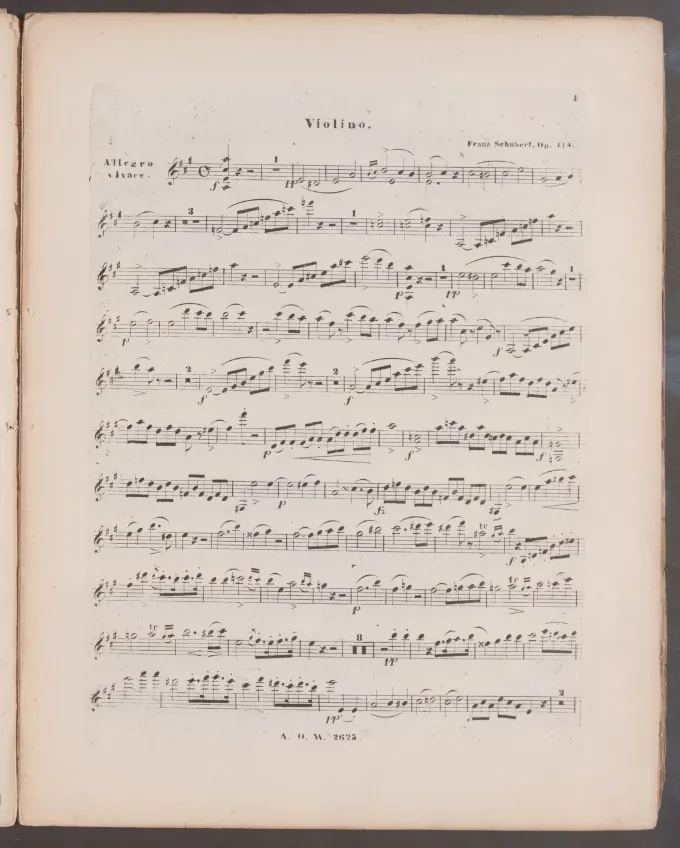 Violin