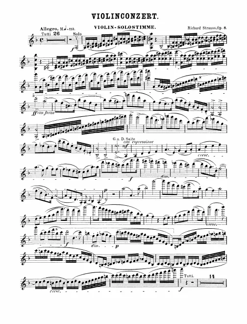 Violin Solo