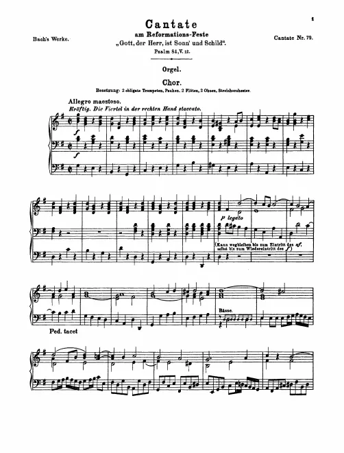 Organ